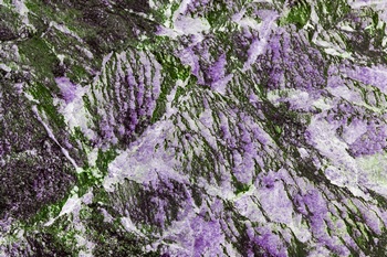 AP 127A